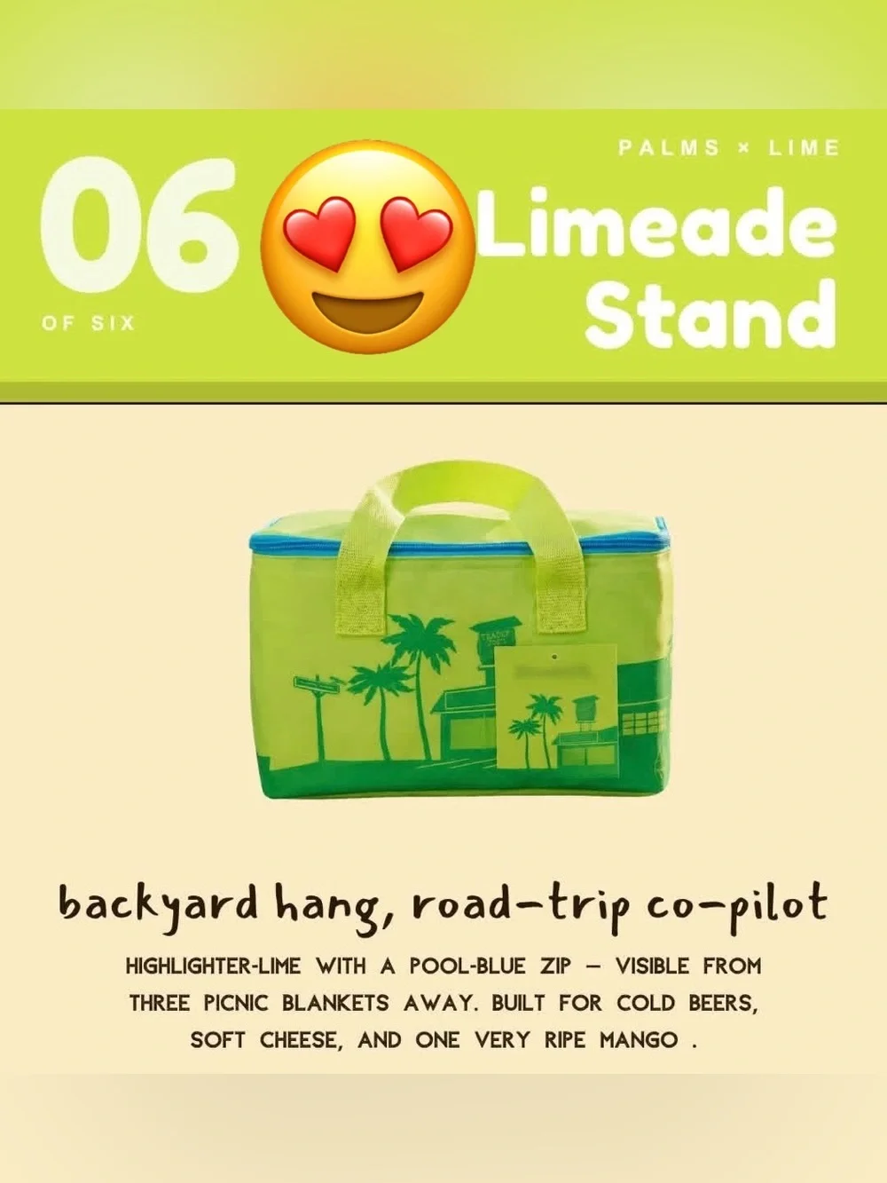 Trader Joe’s Mini Insulated Bag